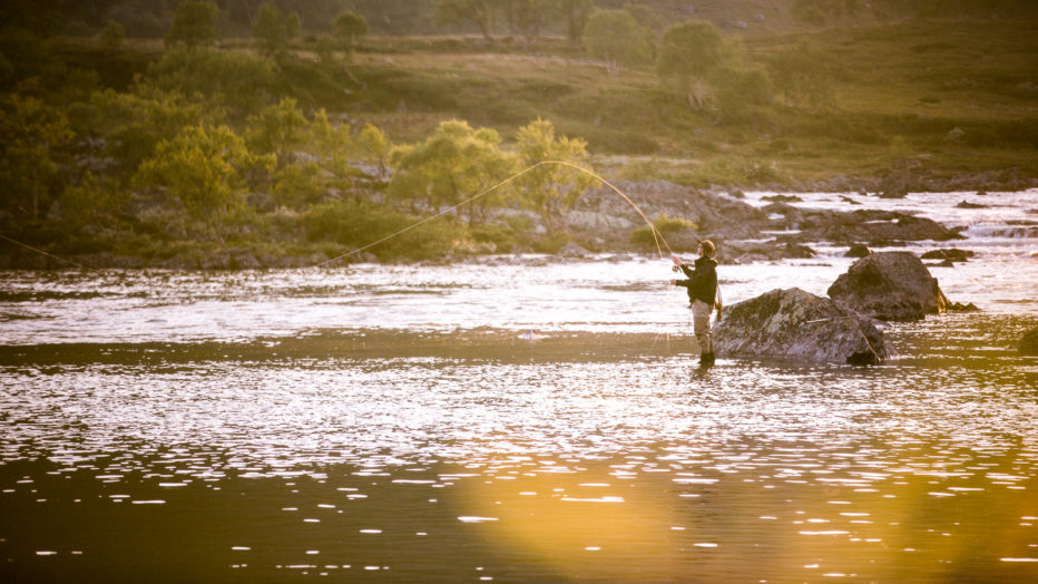 Fiskevann med flott ørret.